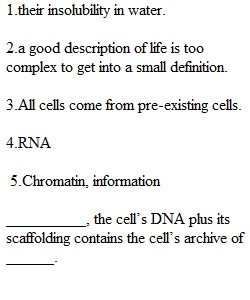 Quiz 2